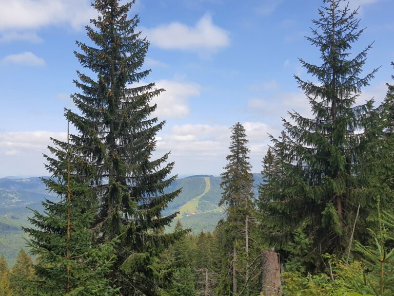 Babia 02