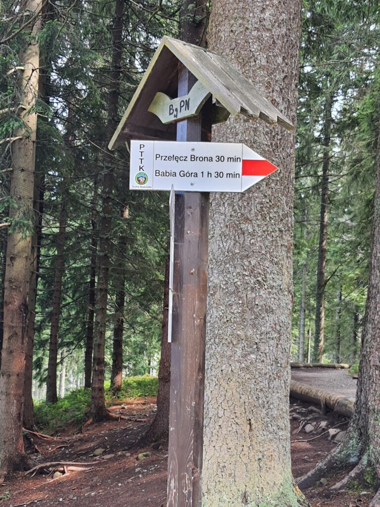 Babia 05
