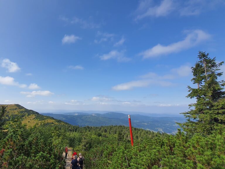 Babia 10