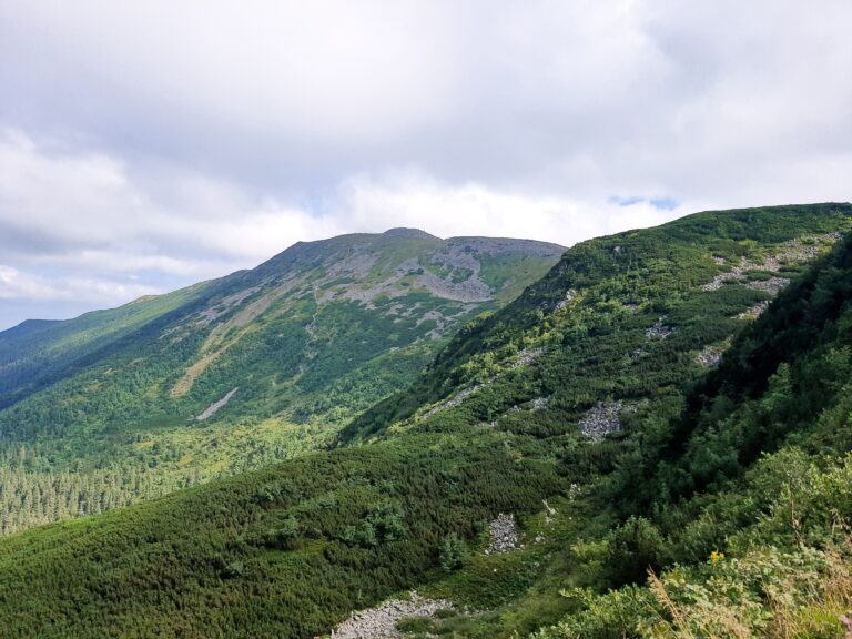 Babia 12