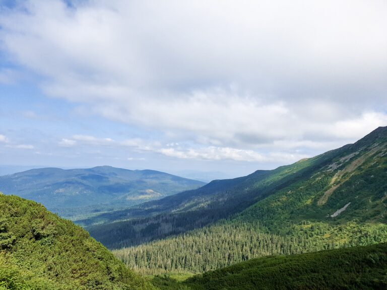 Babia 13