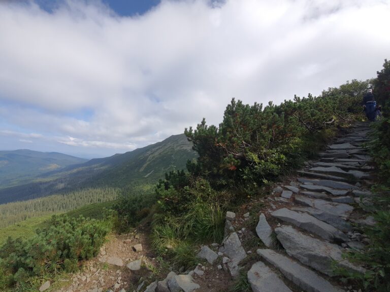 Babia 14