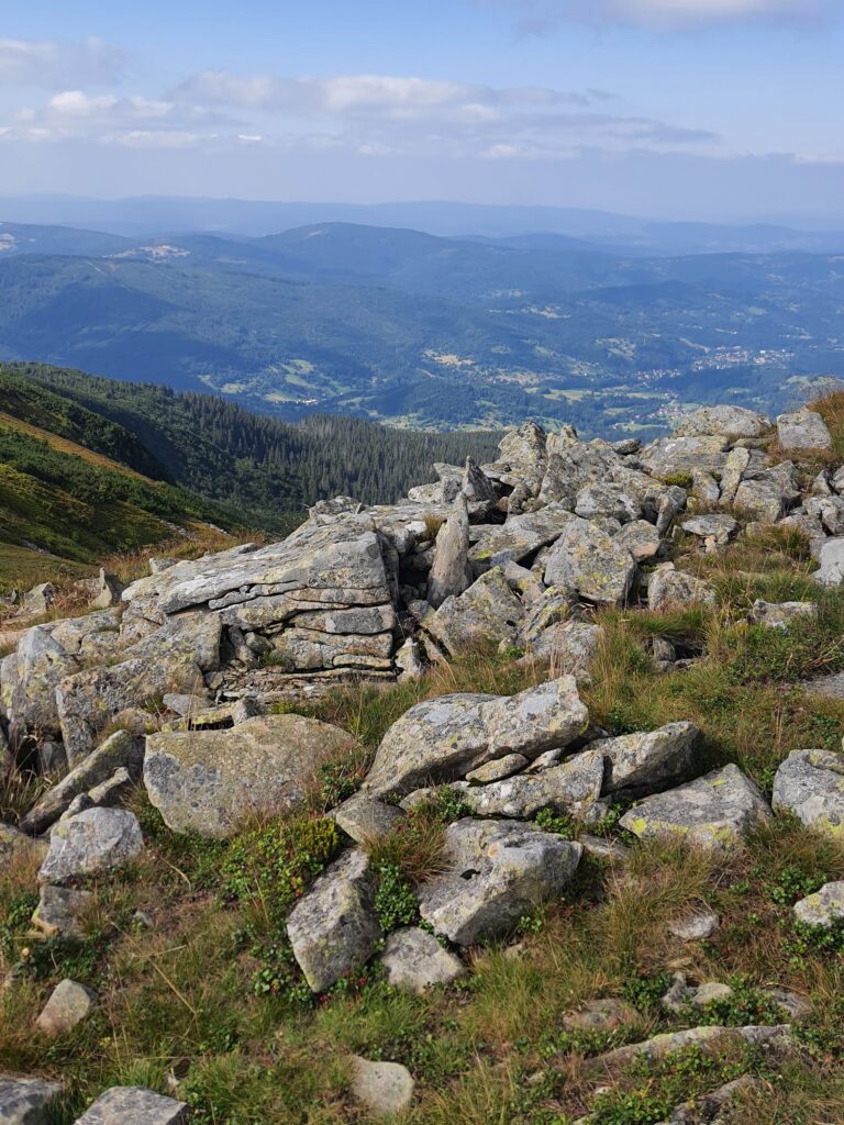 Babia 16