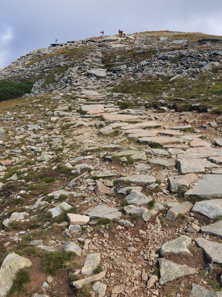 Babia 19