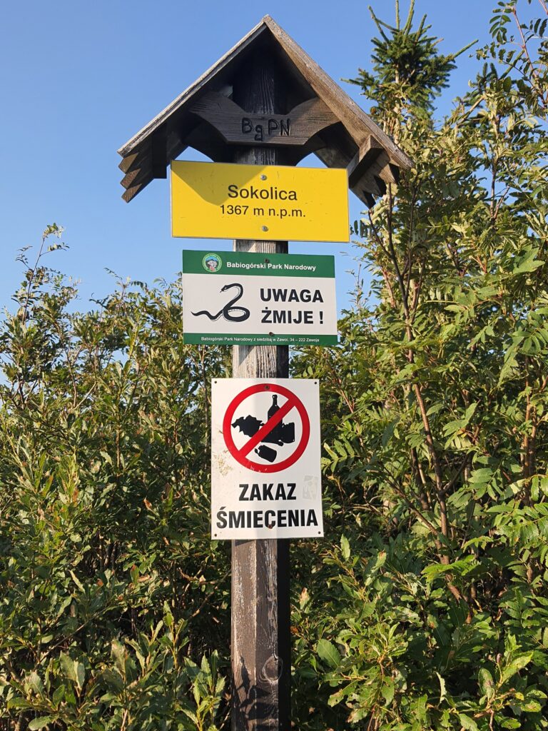 Babia 25
