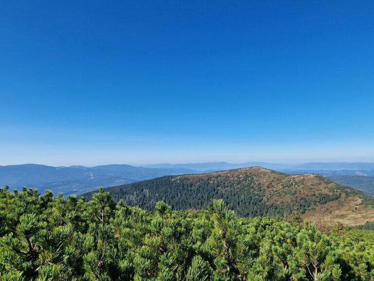 Babia 26