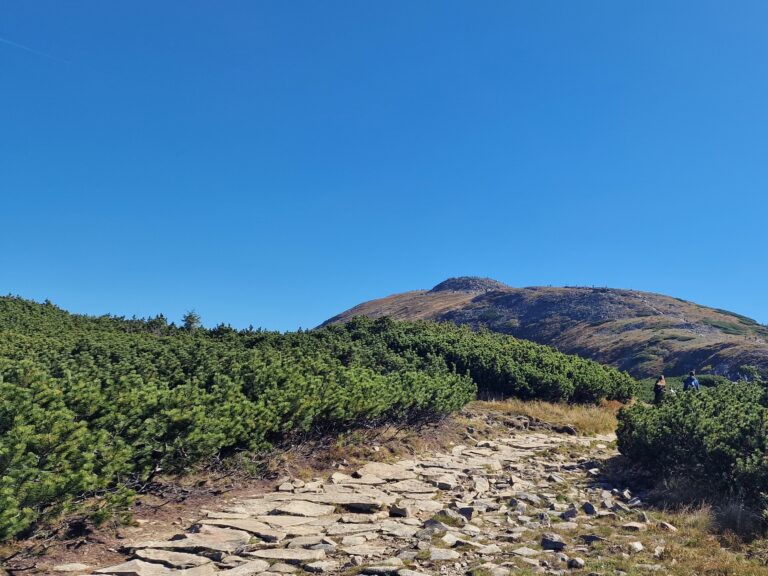 Babia 28