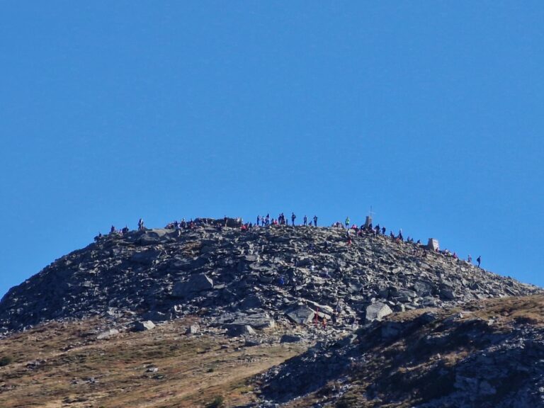 Babia 29