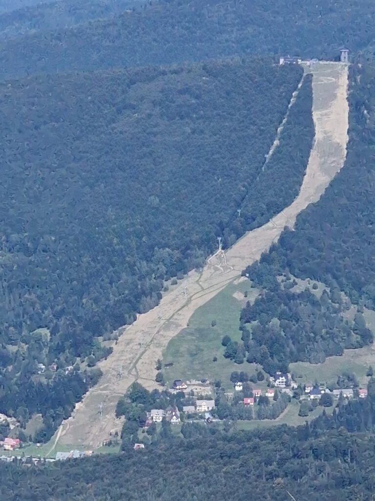 Babia 31