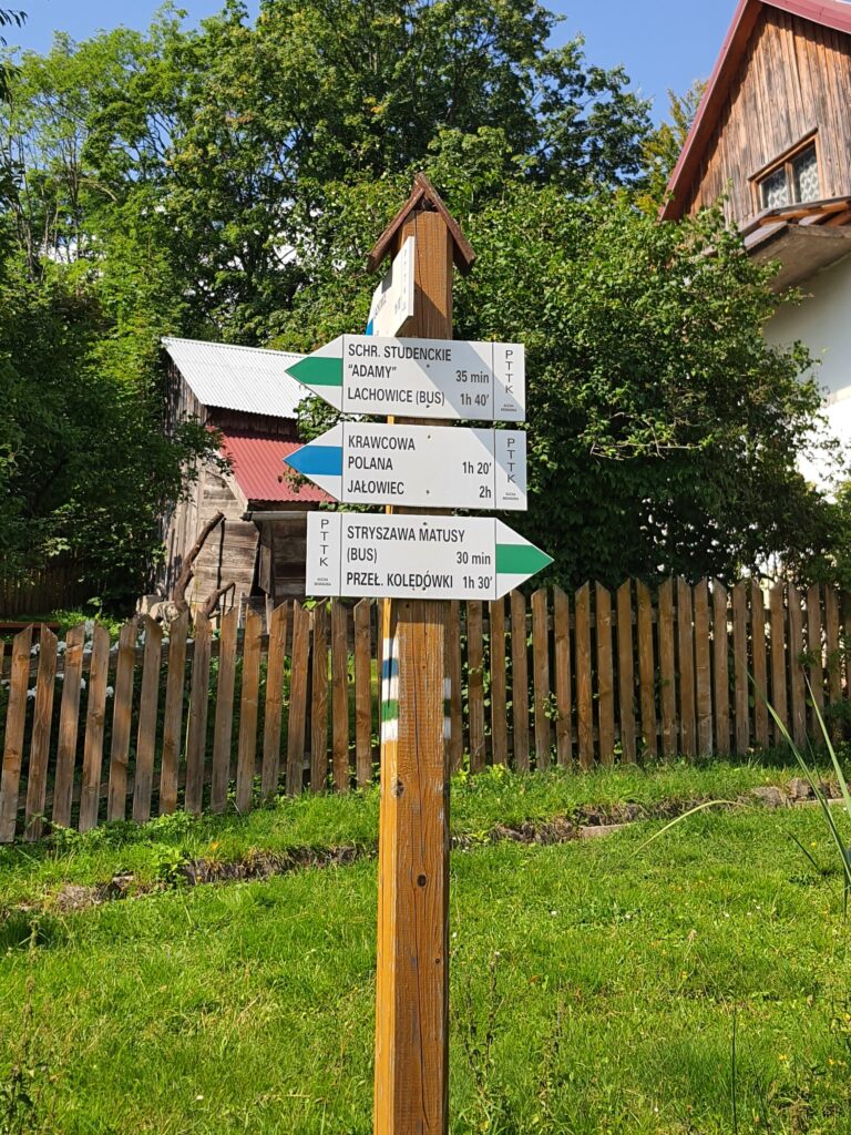 Jalowiec 10
