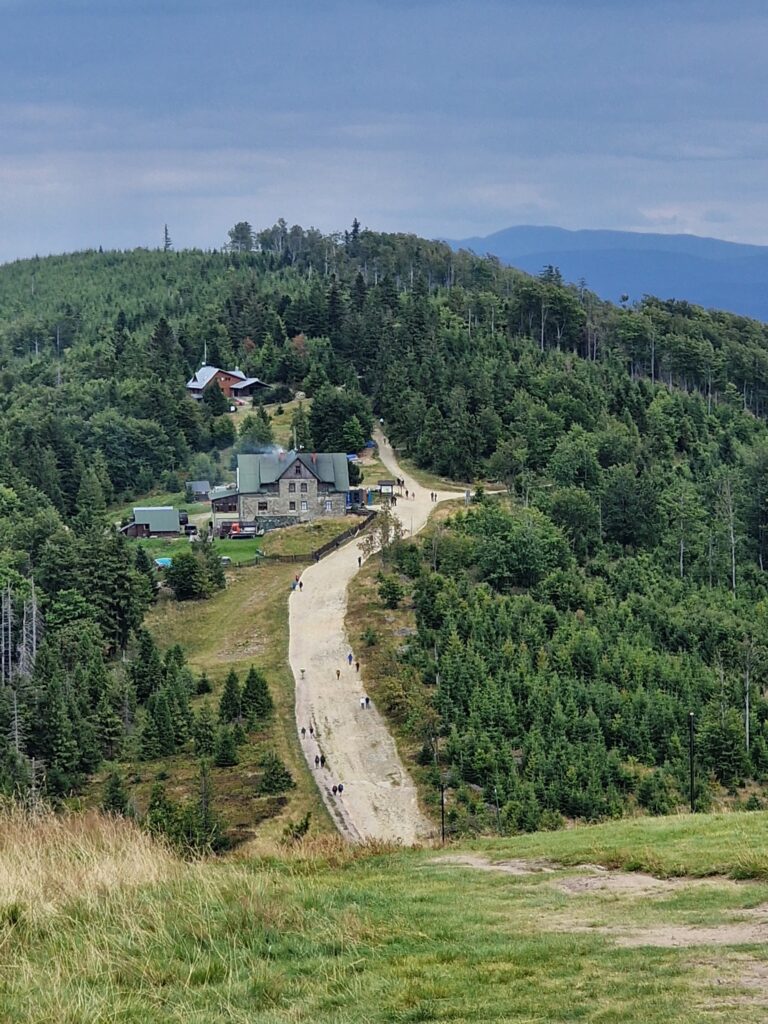 Klimczok 01