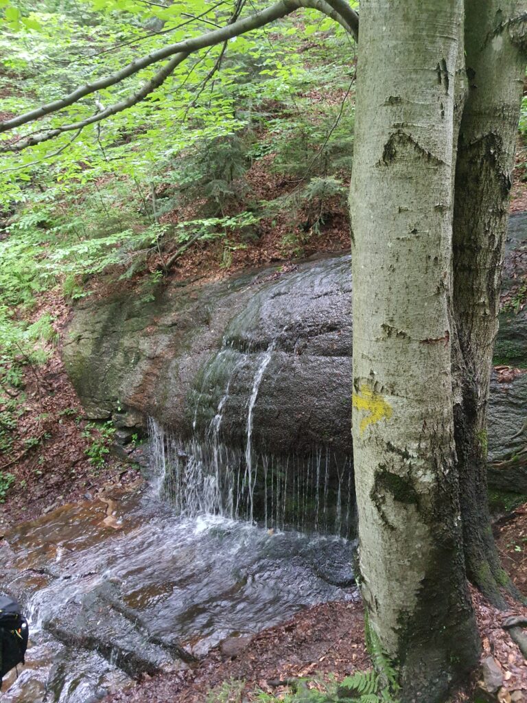 Komonieckiego 01