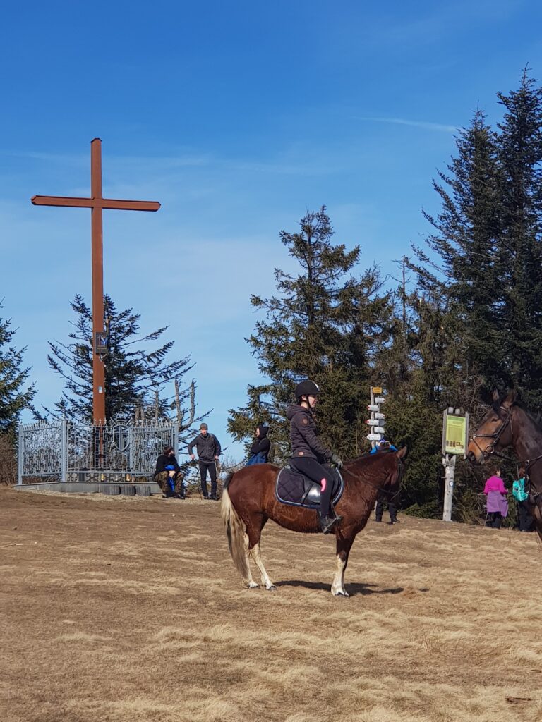 Leskowiec Ż 01