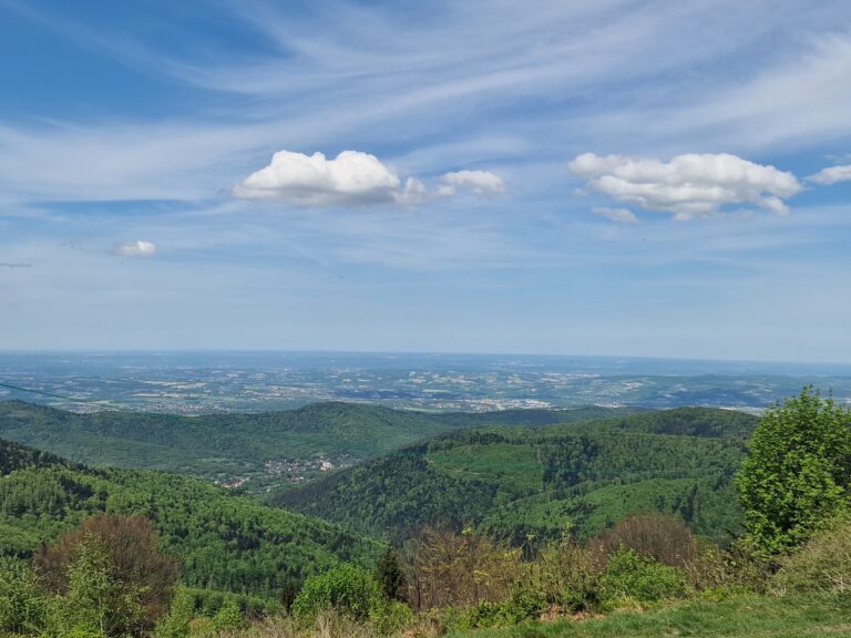 Leskowiec Ż 06
