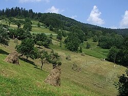 Lubomir_a1
