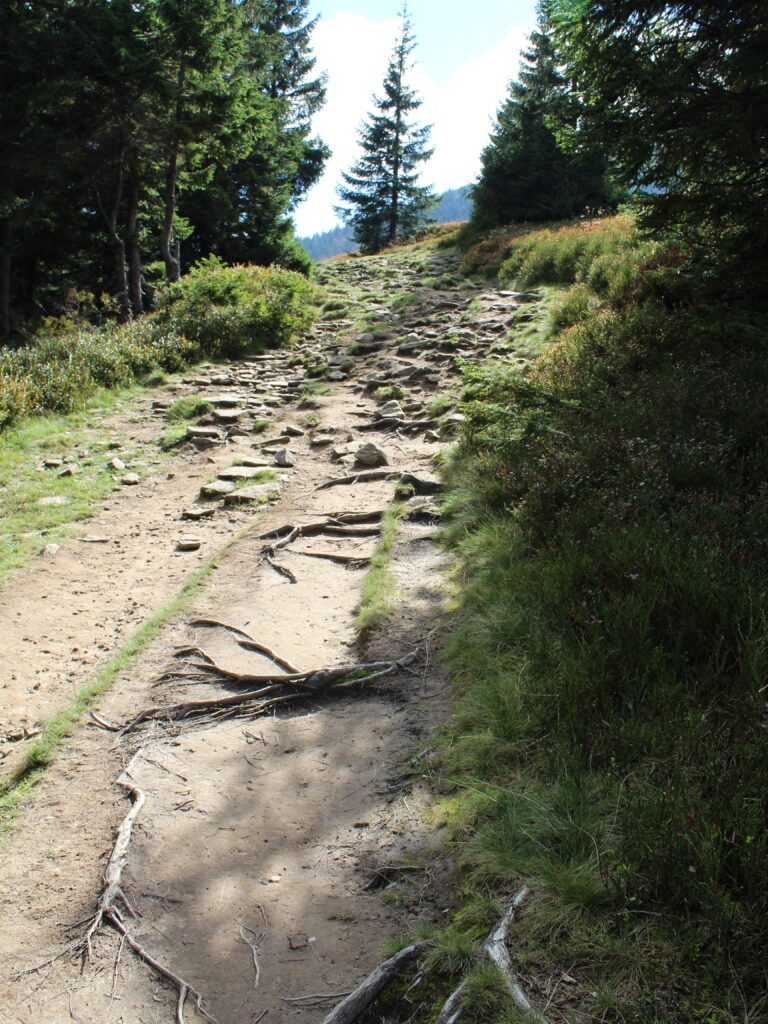Pilsko 01