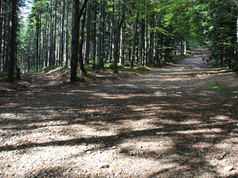 Pilsko 13